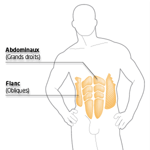 Exercices de musculation abdominaux