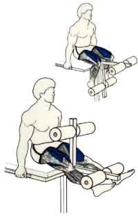 exercices de musculations pour les jambes Extension de jambes