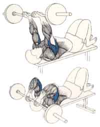 Exercices de musculation pour les bras Extension des avant-bras couché