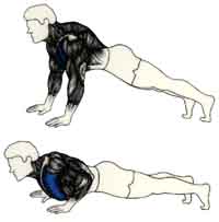 Exercices de musculations pour les Pectoraux Flexion-extension au sol