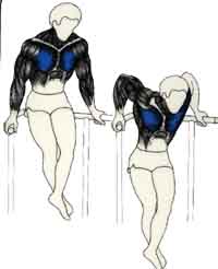 Exercices de musculations pour les Pectoraux Flexion-extension aux barres parallèles
