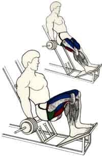 exercices de musculations pour les jambes Squat barre derrière les jambes