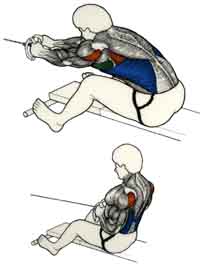 Exercices de musculation pour le Dos Tirage horizontal à la poulie