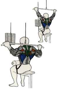 Exercices de musculation pour le Dos tirage vertical à la poulie