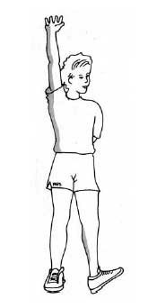 Exercices pour étirer les jambes: le tronc et les mollets