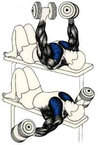 Exercices de musculations pour les Pectoraux Écartés latéraux