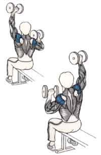 Exercices de musculation pour les épaules Élévation alternée