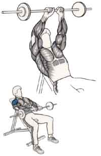 Exercices de musculation pour les épaules Élévation antérieure inclinée