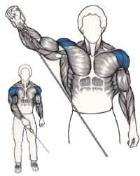 Exercices de musculation pour les épaules Élévation latérale à la poulie