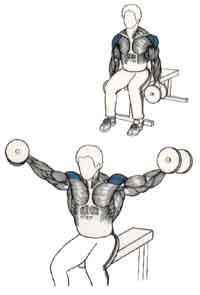 Exercices de musculation pour les épaules Élévation latérale