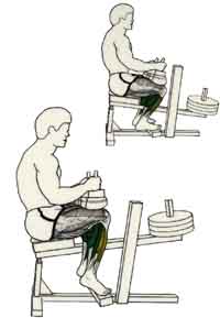 exercices de musculations pour les jambes Élévations sur pointes des pieds
