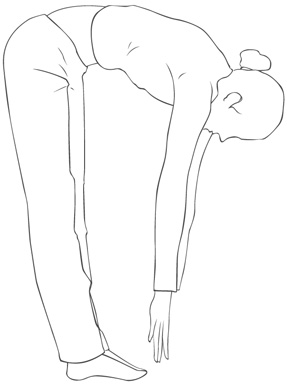 exercices  d'étirement du dos : flexion debout