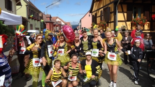 Marathon du Vignoble d'Alsace 2011