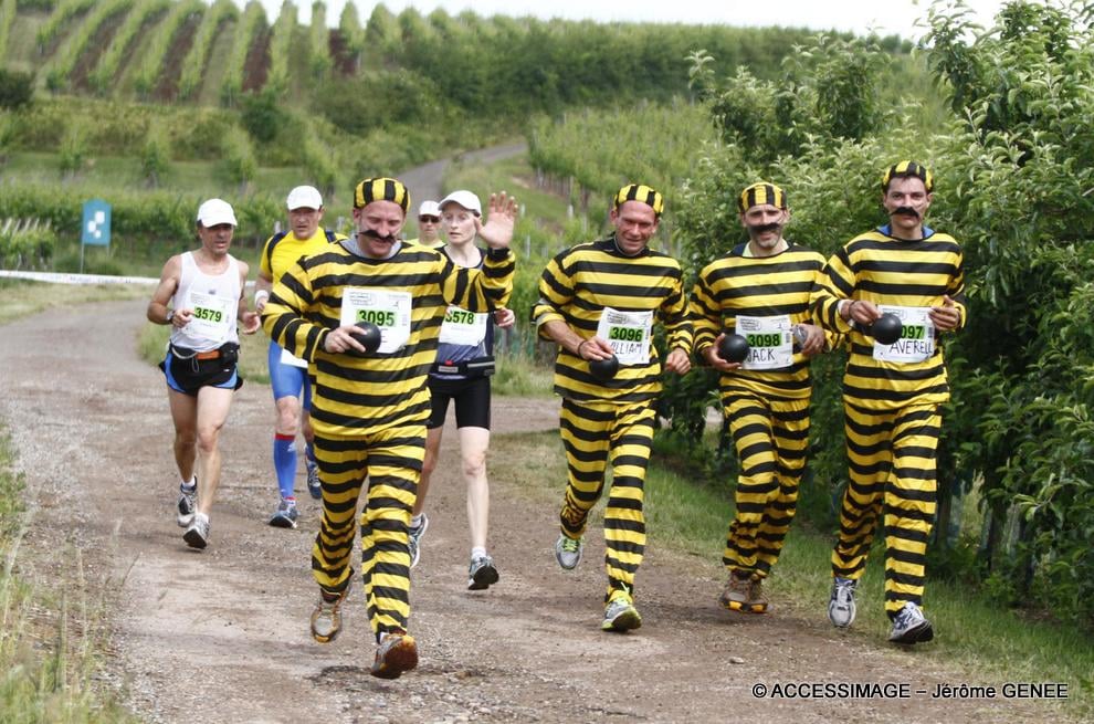 Marathon du Vignoble d'Alsace 2012