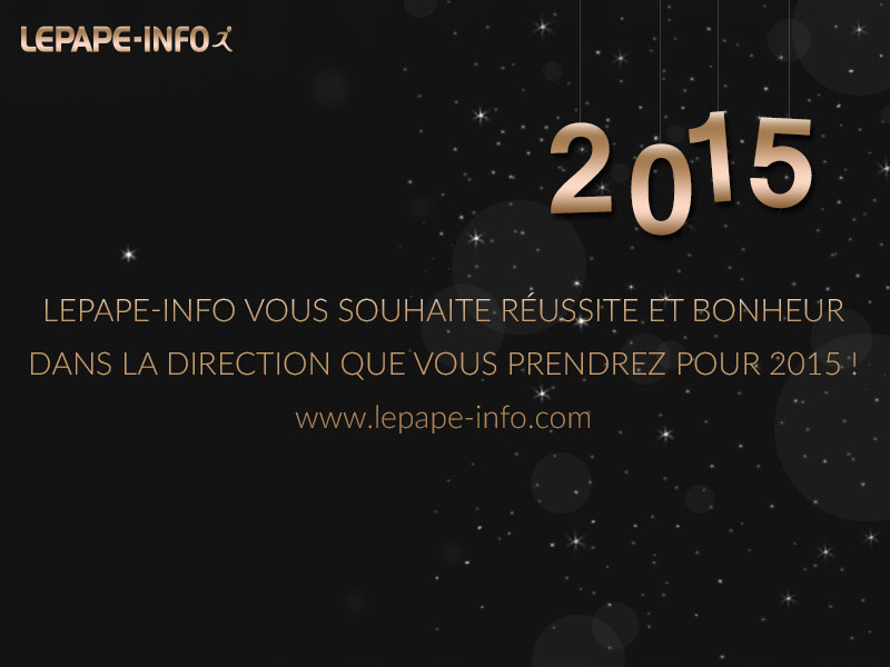 Bonne année lepape info 2015