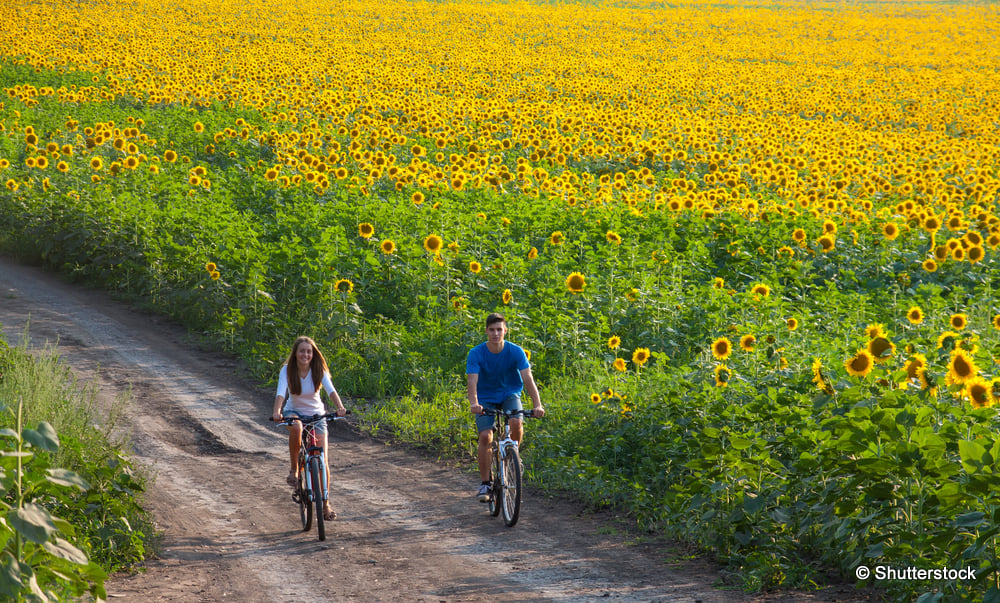 vélo champ campagne