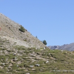 Var Mountain Trail 2015
