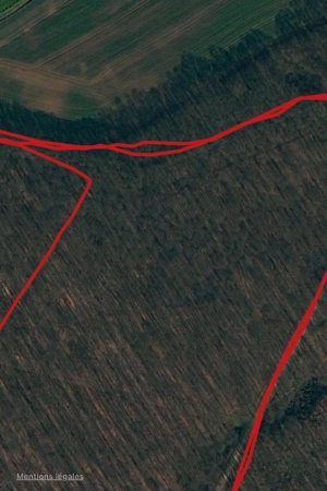 Lors des passages en forêt, résultats nuancés : cela peut être correct  voire très bon, comme le tracé à droite et à gauche, mais également  quelques dérives comme le tracé en haut de l'image : 