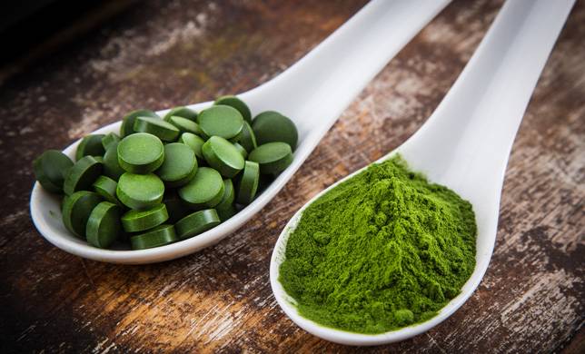 Spiruline et musculation : une algue riche en protéines - Espace