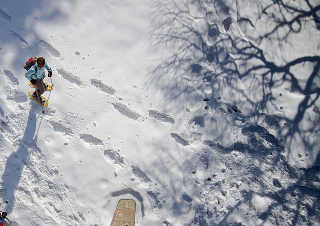 snow-shoe-hike-2875538_640