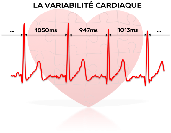 Peut-on se fier à la variabilité cardiaque ?