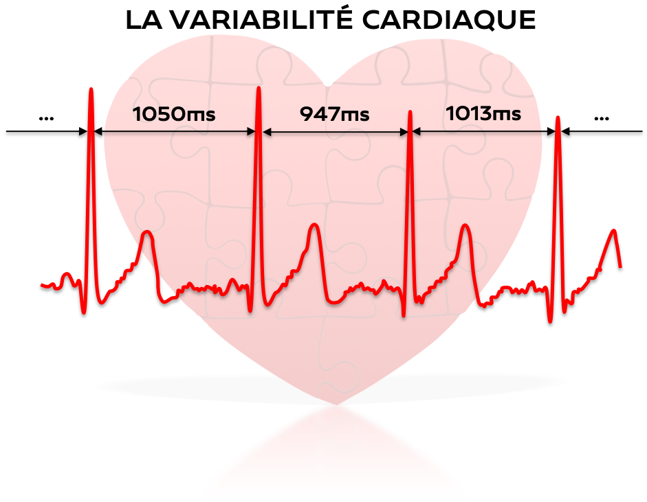 Tout savoir sur la mesure de variabilité de fréquence cardiaque