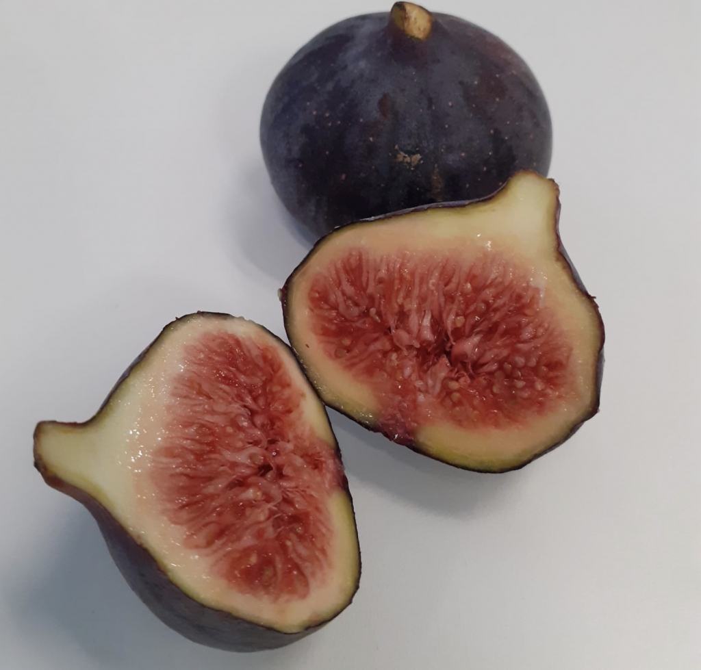 Mangez des figues ! LepapeInfo